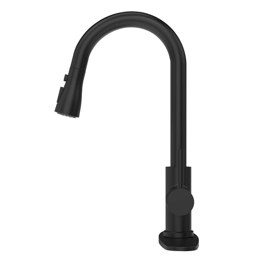 CWM Kitchen Faucet with Pull Out Faucet,Matte Black