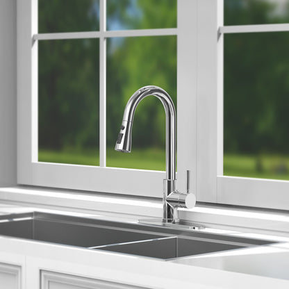 CWM Kitchen Faucet with Pull Out Faucet,Polished Chrome