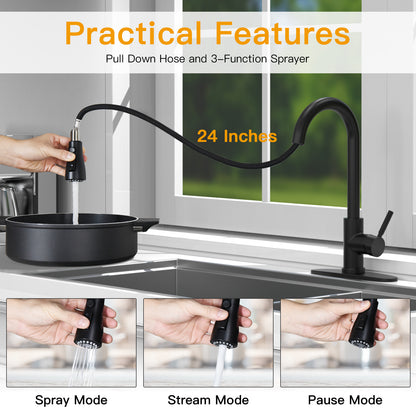 CWM Kitchen Faucet with Pull Out Faucet,Matte Black