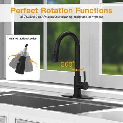 CWM Kitchen Faucet with Pull Out Faucet,Matte Black