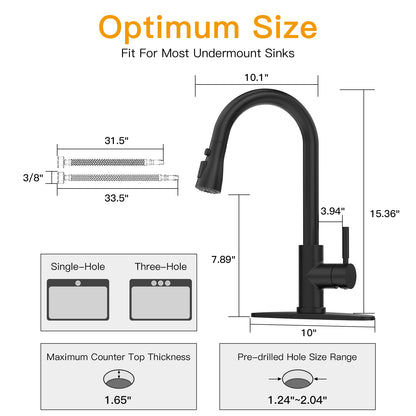 CWM Kitchen Faucet with Pull Out Faucet,Matte Black