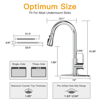 CWM Kitchen Faucet with Pull Out Faucet,Polished Chrome