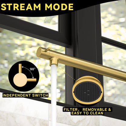 CWM Kitchen Faucet with Pull Down Sprayer,Brushed Gold